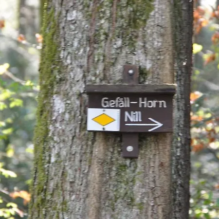 Lägenhet On The Isenmann Fruit Farm Zell am Harmersbach