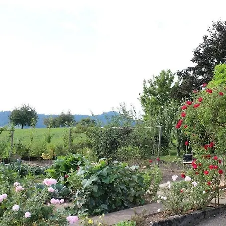 Lägenhet On The Isenmann Fruit Farm Zell am Harmersbach
