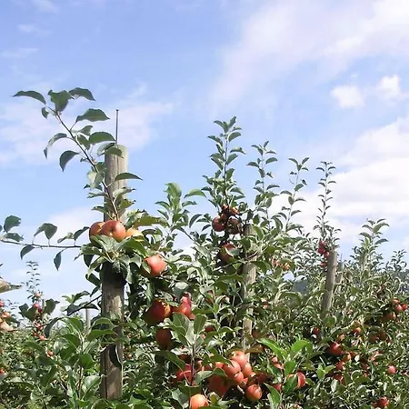 On The Isenmann Fruit Farm