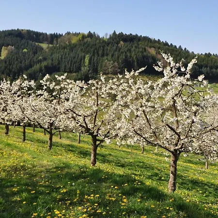 Apartmán On The Isenmann Fruit Farm *
