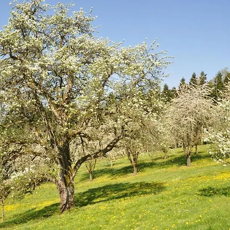 Lägenhet On The Isenmann Fruit Farm *