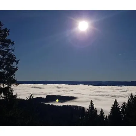 On The Isenmann Fruit Farm * Zell am Harmersbach